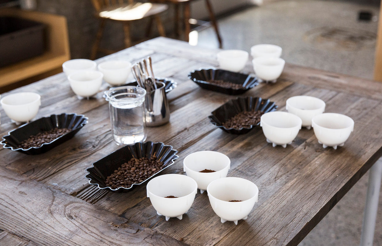 Barista Hustle Cupping Bowls